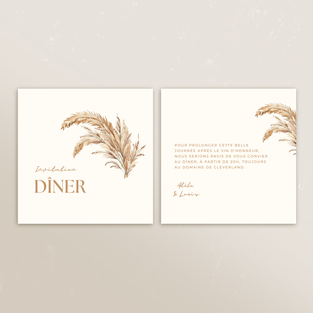 Cartons supplémentaires Symbiose