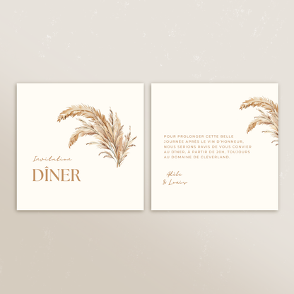 Cartons supplémentaires Symbiose