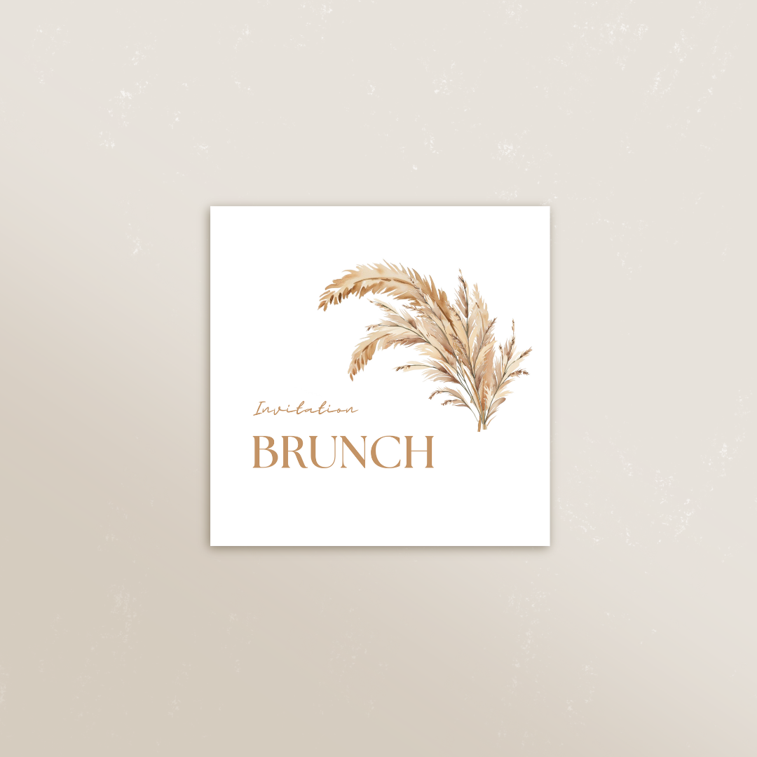 Cartons supplémentaires Symbiose