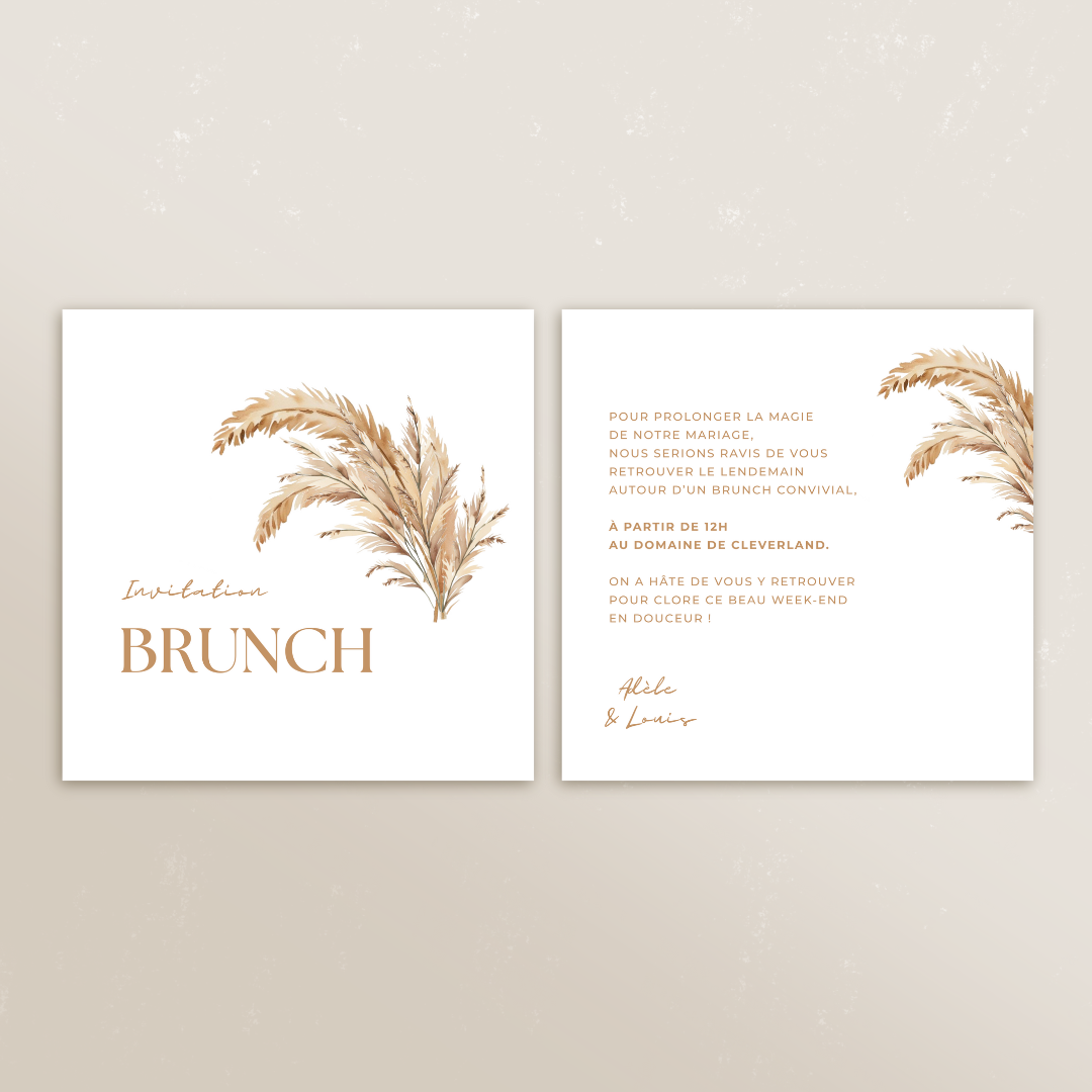 Cartons supplémentaires Symbiose