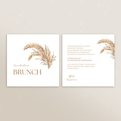 Cartons supplémentaires Symbiose