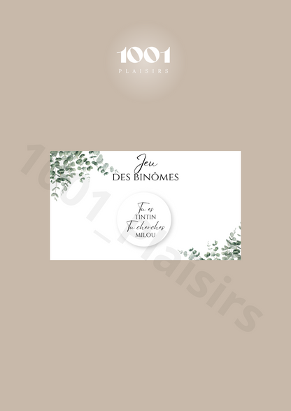 Jeu des binômes (Lot de 10)