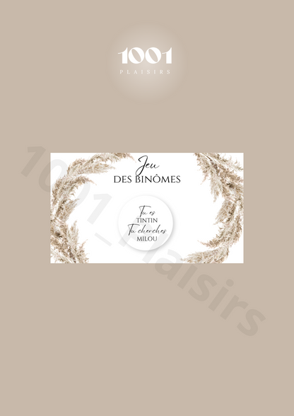 Jeu des binômes (Lot de 10)