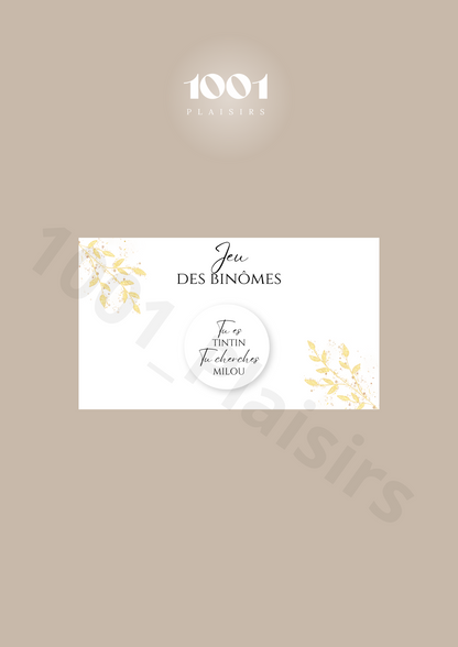 Jeu des binômes (Lot de 10)