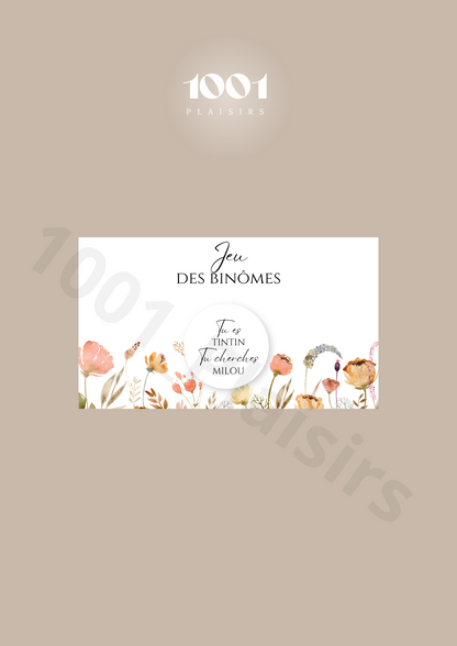 Jeu des binômes (Lot de 10)