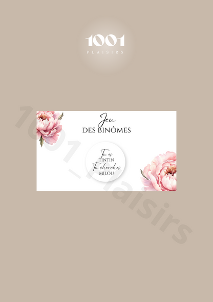 Jeu des binômes (Lot de 10)