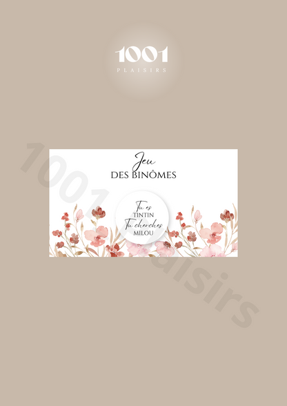 Jeu des binômes (Lot de 10)