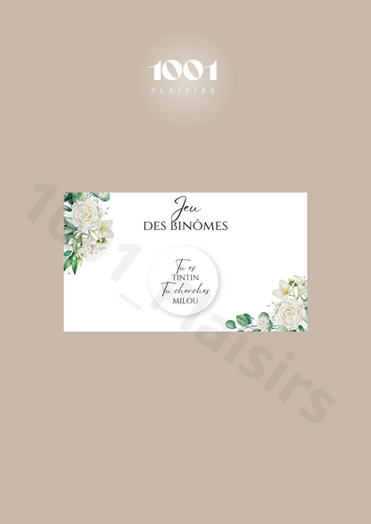 Jeu des binômes (Lot de 10)