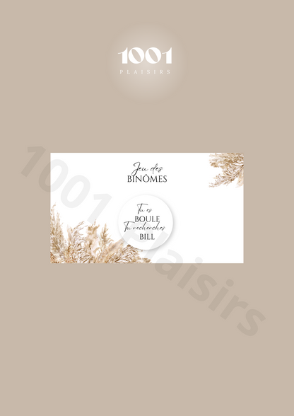 Jeu des binômes (Lot de 10)