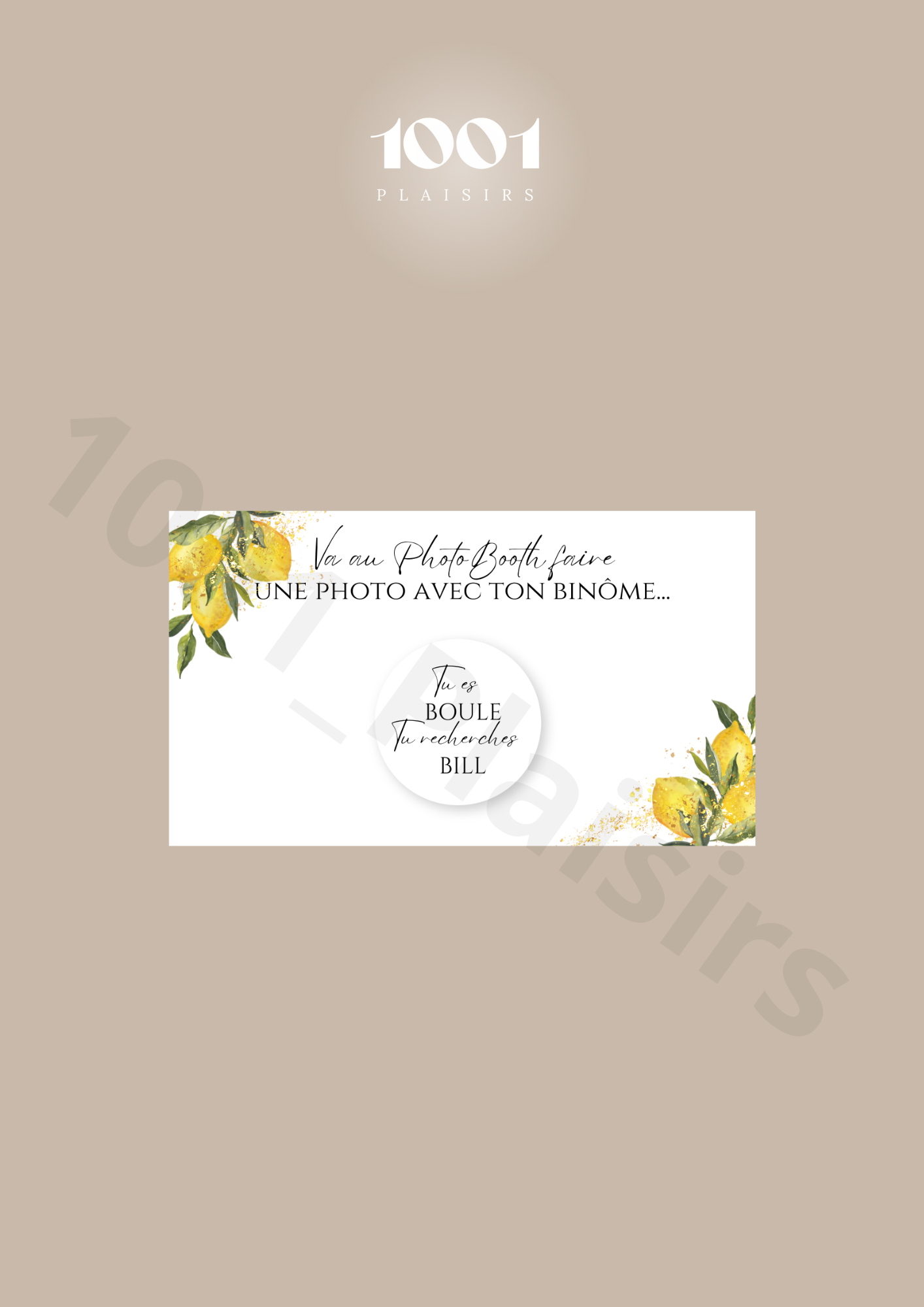 Jeu des binômes PhotoBooth (Lot de 10)