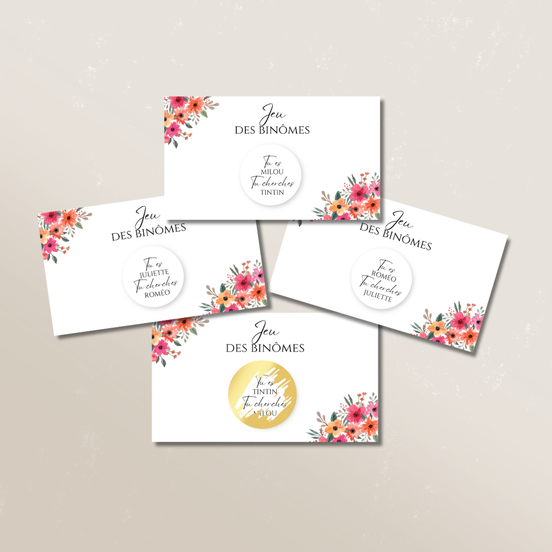 Jeu des binômes (Lot de 10)